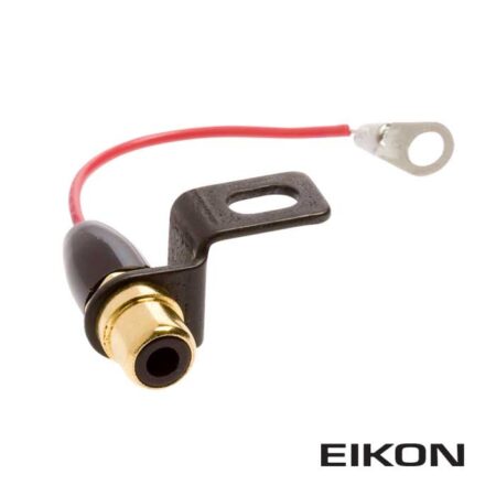 Eikon RCA Conversion
